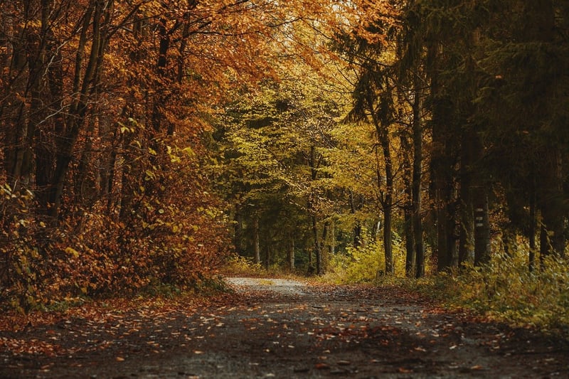Family walking in a nature reserve